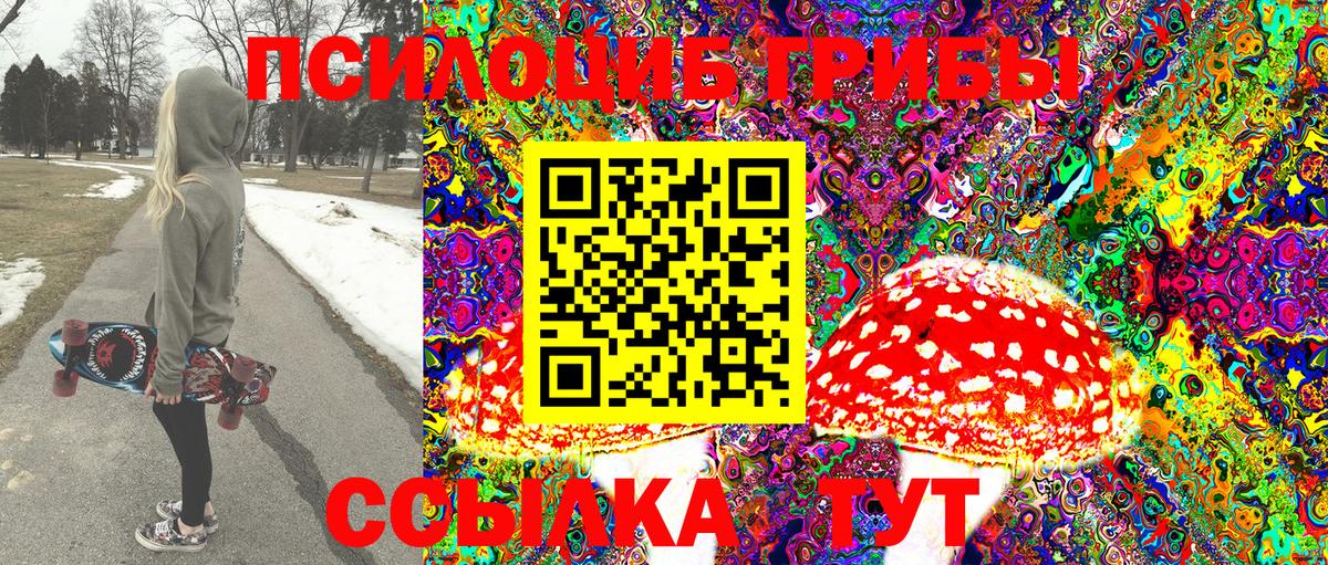 Псилоцибиновые грибы Psilocybine cubensis Волоколамск